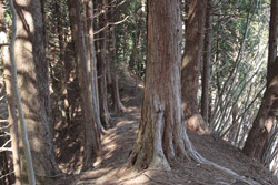 熊鷹山・丸岩岳
