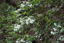 根本山・熊鷹山