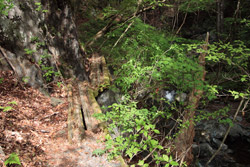 根本山・熊鷹山