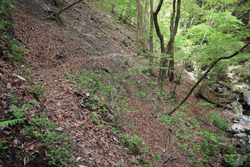 根本山・熊鷹山