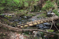 根本山・熊鷹山