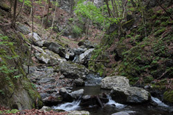 根本山・熊鷹山