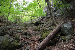 根本山・熊鷹山