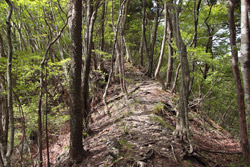 根本山・熊鷹山