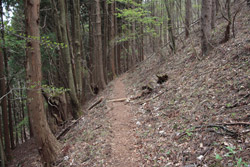 根本山・熊鷹山