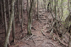 根本山・熊鷹山
