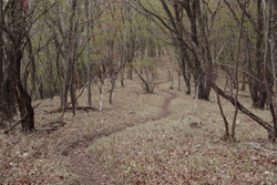 根本山・熊鷹山