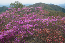 根本山・熊鷹山