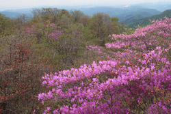 根本山・熊鷹山