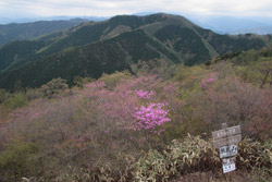 根本山・熊鷹山