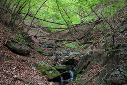 根本山・熊鷹山