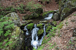 根本山・熊鷹山
