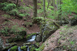 根本山・熊鷹山