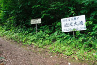 尾瀬（小沢平コース）