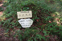 尾瀬（小沢平コース）