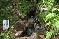 浅草岳（只見沢登山口）