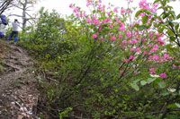 浅草岳（只見沢登山口）