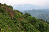 浅草岳（只見沢登山口）