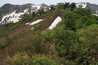 浅草岳（只見沢登山口）
