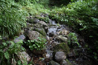 浅草岳（只見沢登山口）