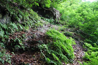 浅草岳（只見沢登山口）