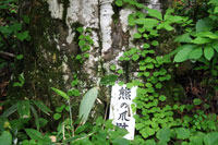 浅草岳（只見沢登山口）