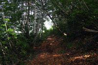 浅草岳（只見沢登山口）