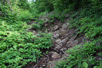 浅草岳（只見沢登山口）