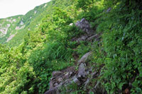 浅草岳（只見沢登山口）