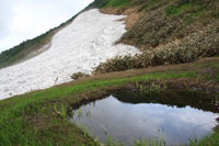 浅草岳（只見沢登山口）