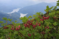 浅草岳（只見沢登山口）