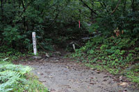 巻機山