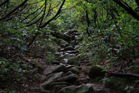 巻機山
