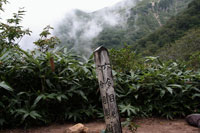 巻機山
