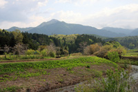 米山