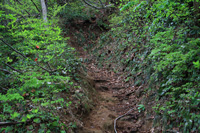 米山