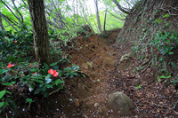 米山