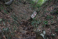 米山