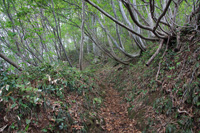 米山