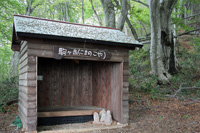 米山