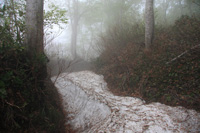 米山
