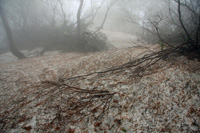 米山