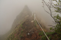 米山
