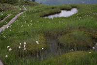 会津駒ケ岳・中門岳