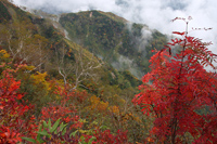 五竜岳