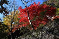 行道山