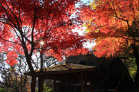 行道山