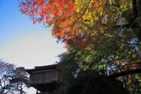 行道山