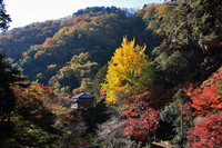 行道山
