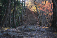 行道山